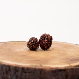 3 face rudraksha (nepali)