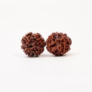 4 face rudraksha (nepali)