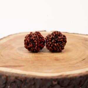 5 face rudraksha (nepali)