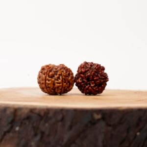 6 face rudraksha (nepali)