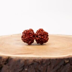 gauri sankar rudraksha (nepali)
